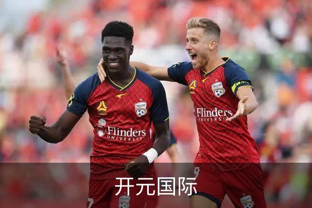 开元国际公司简介